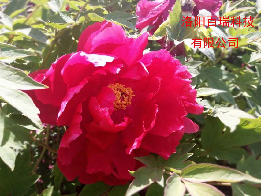 1587021247133652.png 圖片6.png